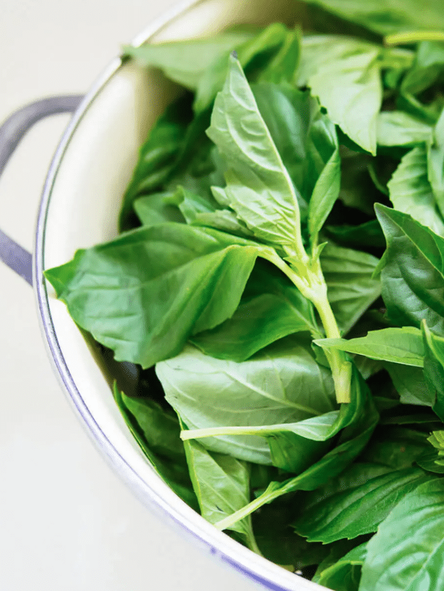 How to Freeze Fresh Herbs So You Can Use Them All Year Long