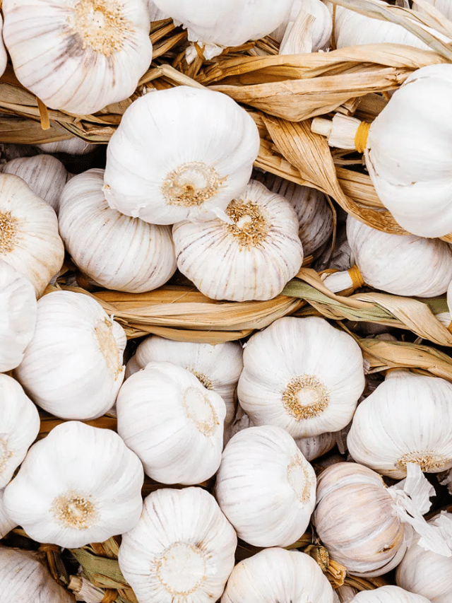 The Best Garlic Varieties to Plant In Your Garden