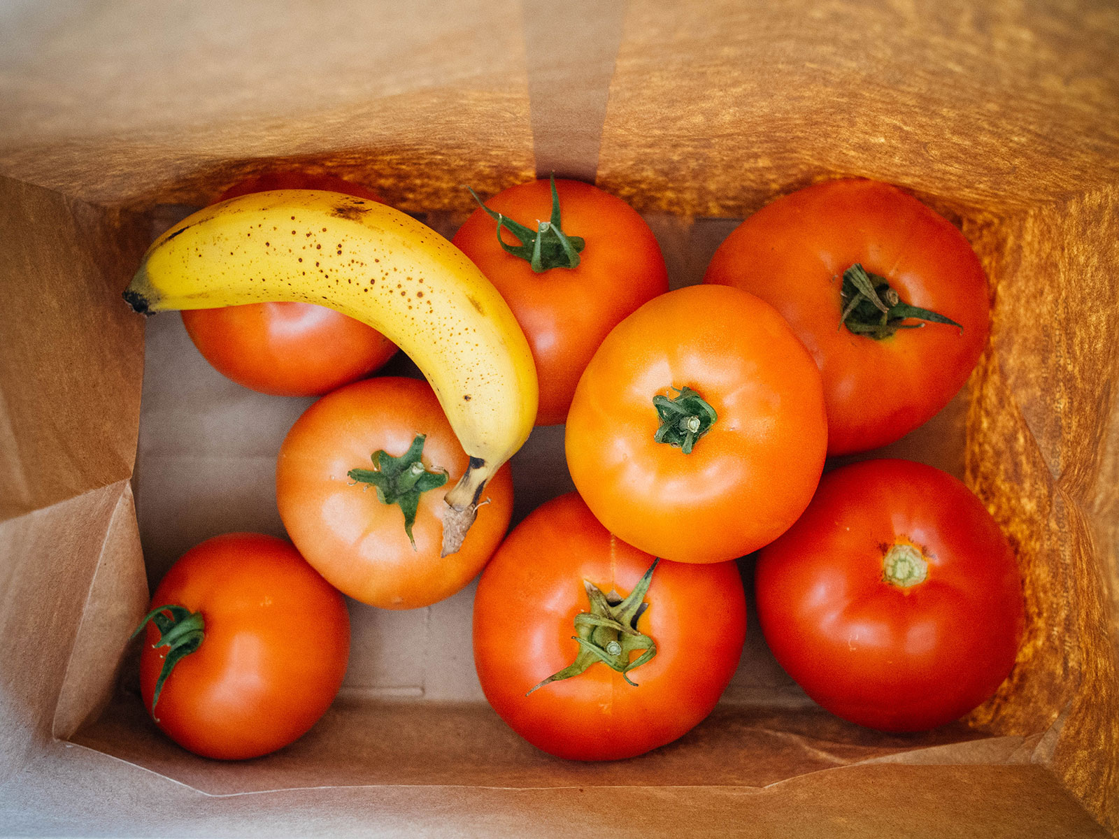 Several beefsteak tomatoes ripening inside a paper bag with a ripe banana