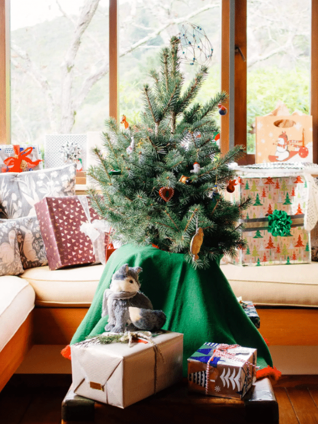 How to Make a Christmas Tree Last Through the Holidays