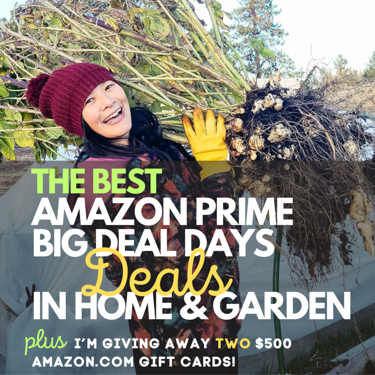 Best Home and Garden Deals: Amazon Prime Big Deal Days + $500 Gift Card Giveaway