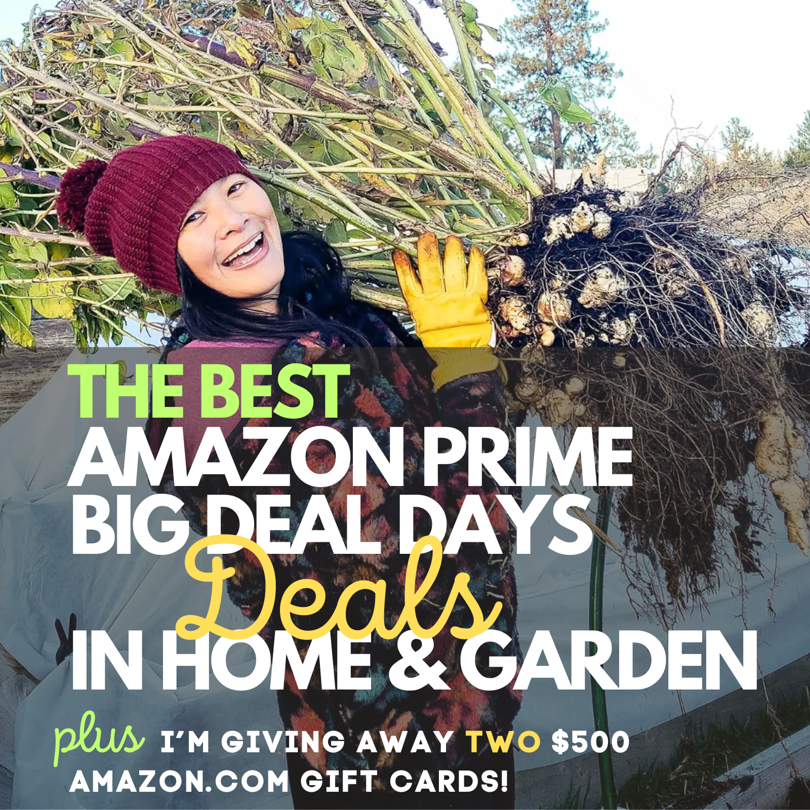 Best home and garden deals during Amazon Prime Big Deal Days