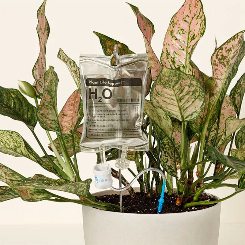 Plant Life Support self-watering system for potted plants
