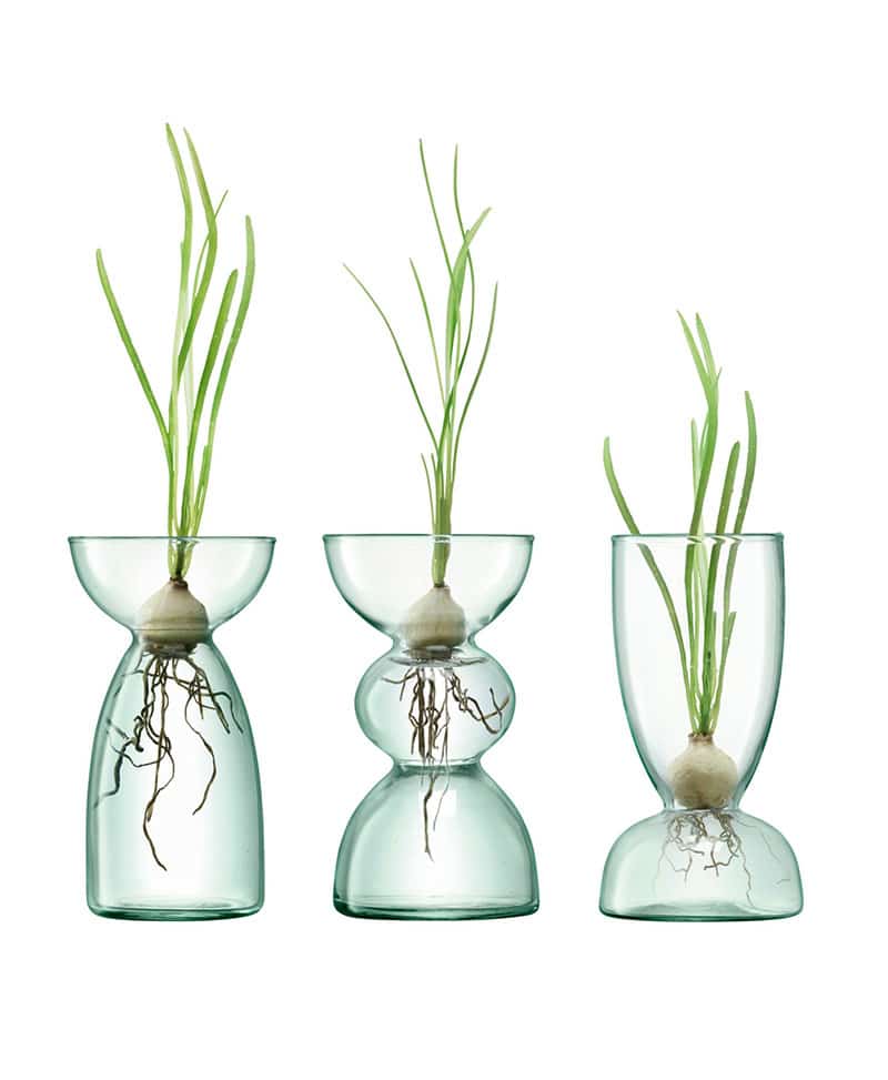 Bulb vase trio