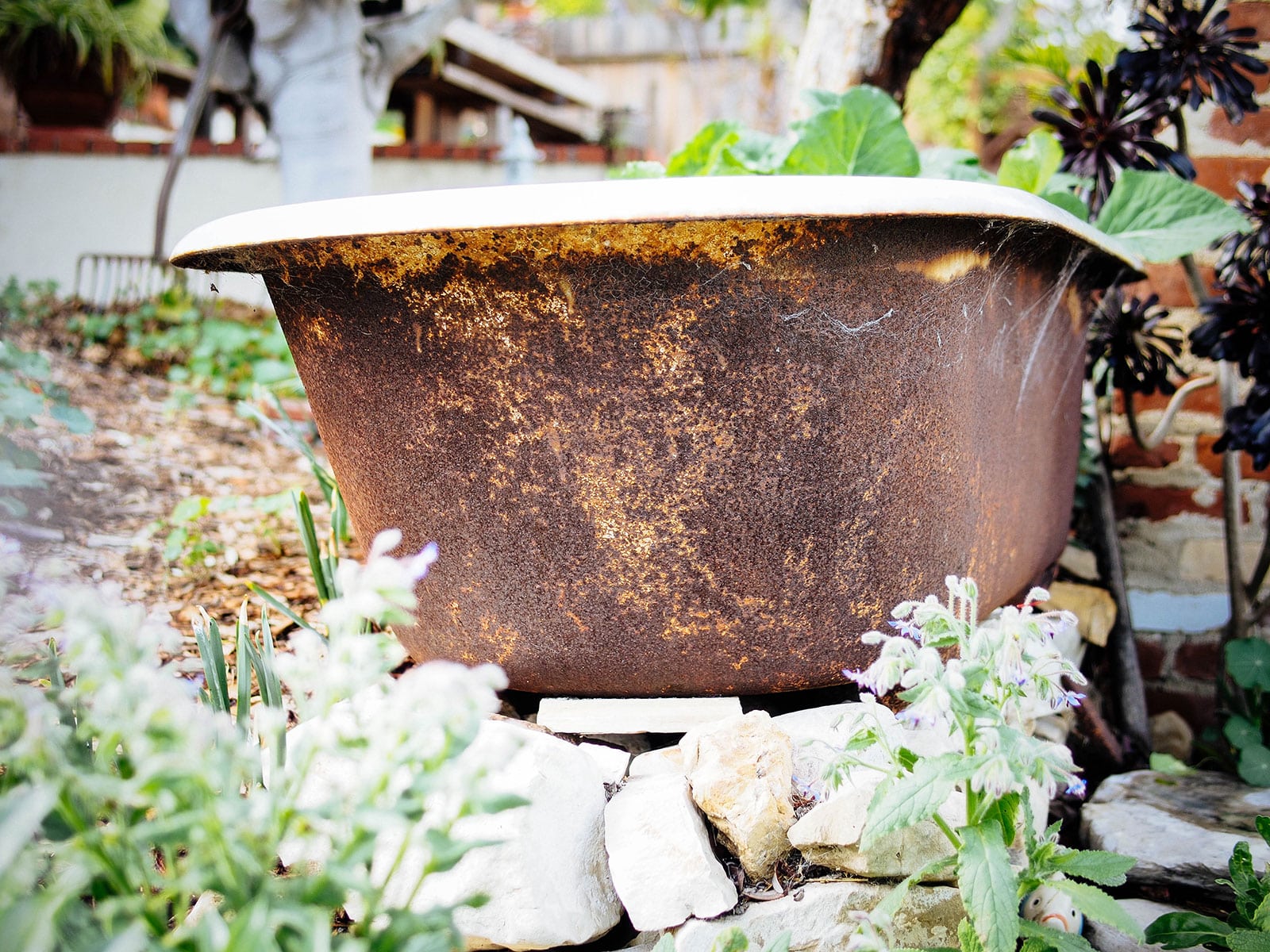 Close-up of rusted patina on a vintage cast-iron bathtub planter in a garden