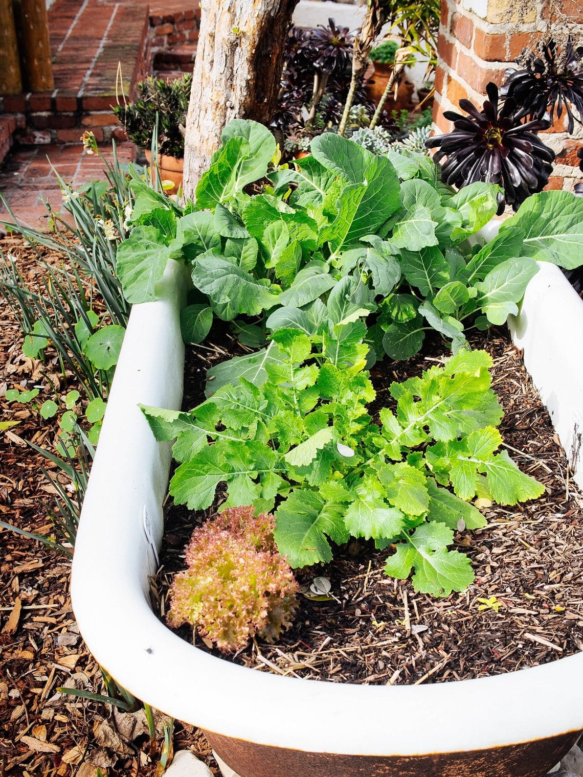 How I Turned a Vintage Clawfoot Bathtub Into a Planter Garden Betty