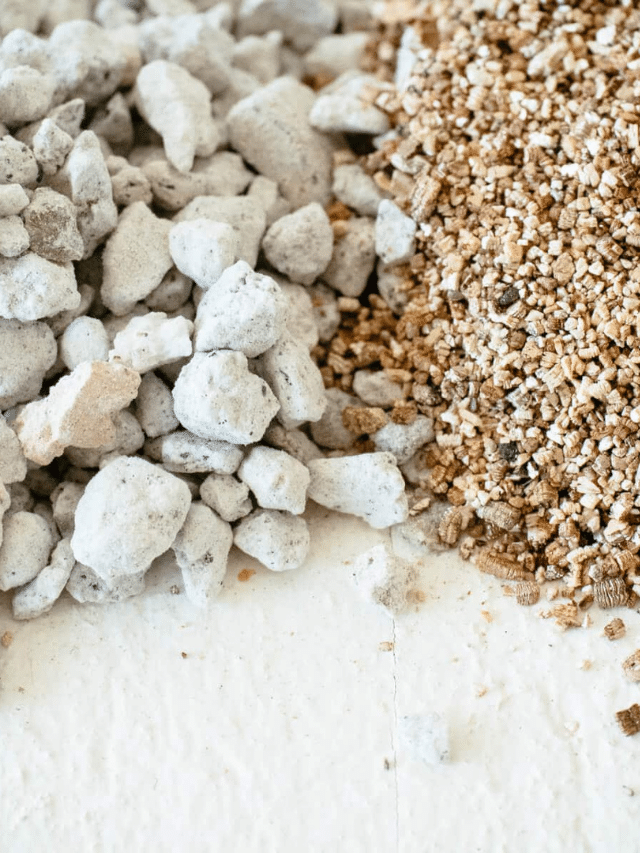 How to Use Vermiculite in Your Garden (and When You Shouldn’t)