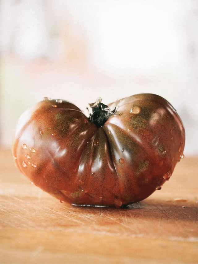 The Best Way to Fertilize Tomatoes for Huge Harvests (It’s Not What You Think)
