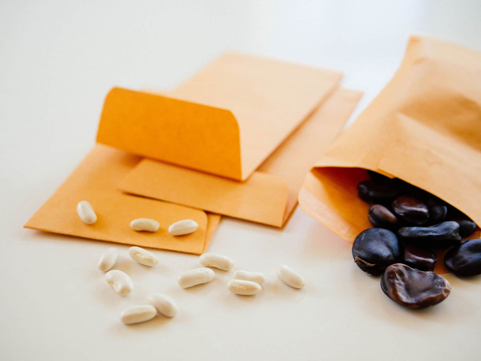 Pea and bean seeds spilling out of small paper envelopes on a table