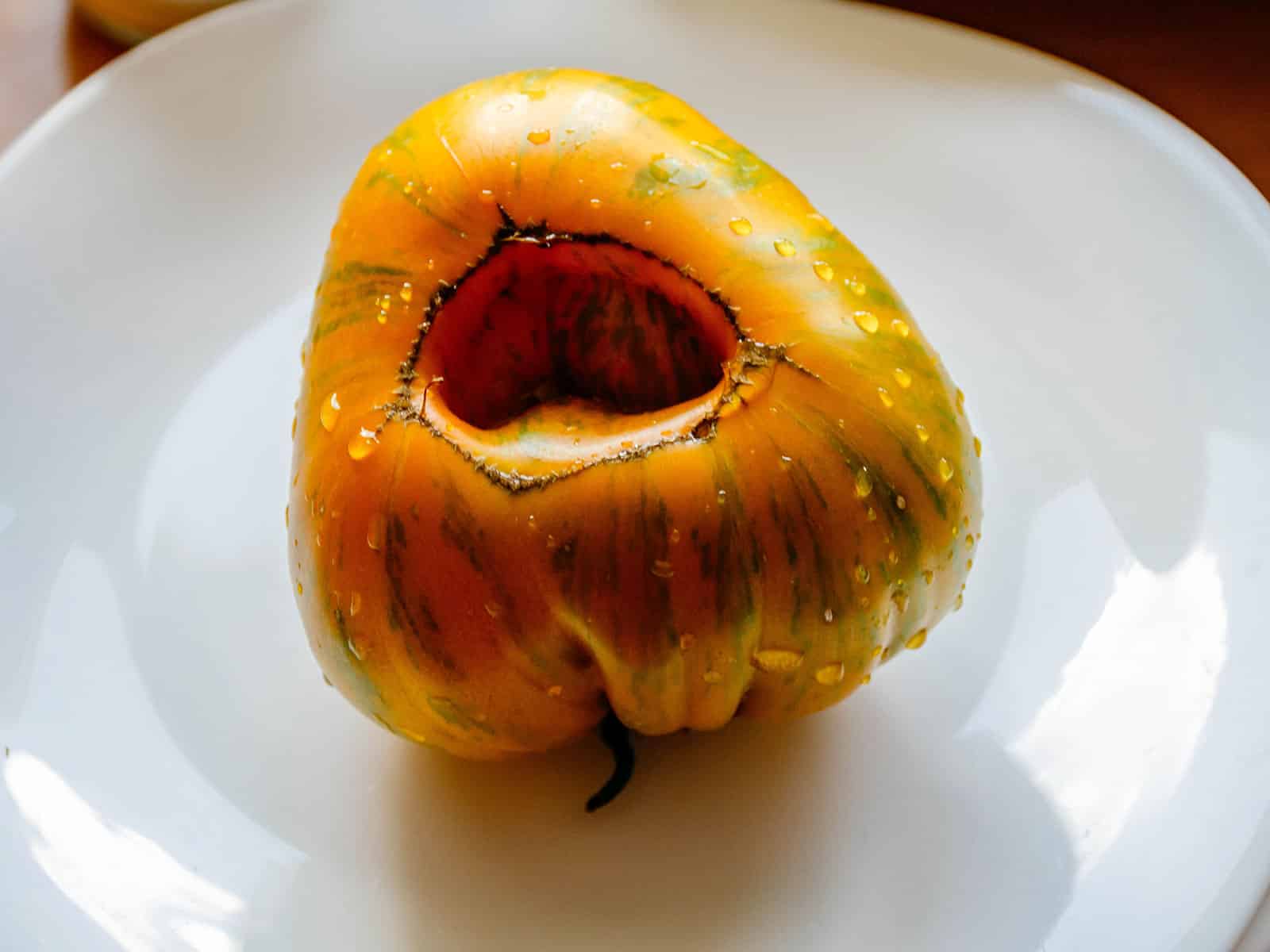 A ripe orange tomato with green stripes on a white plate, with minor catfacing on the bottom of the fruit