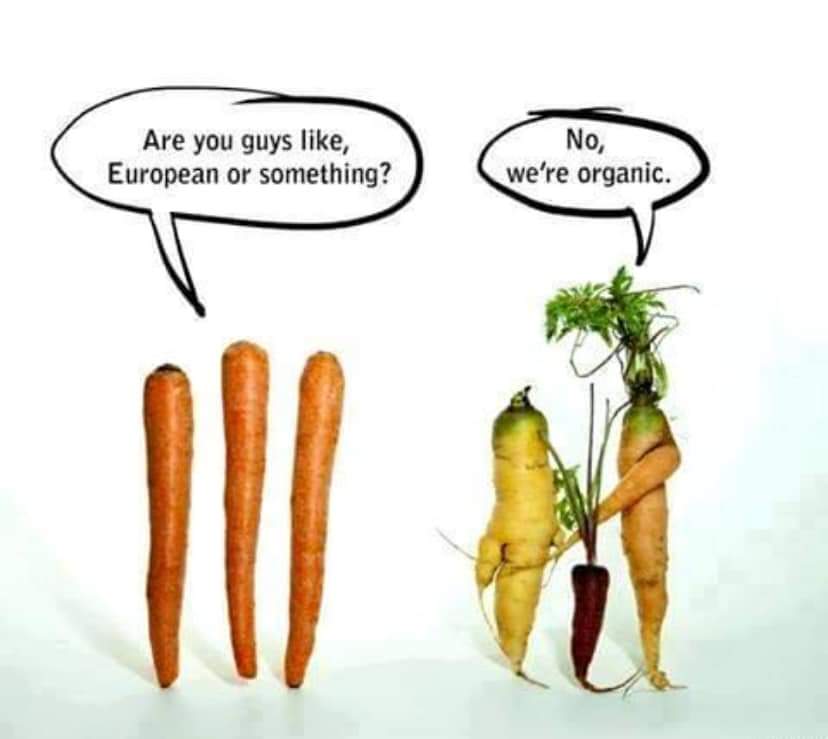 Funny meme with tall, slender, perfect carrots on the left saying Are you guys like, European or something? and short, hairy, deformed carrots on the right saying No, we're organic