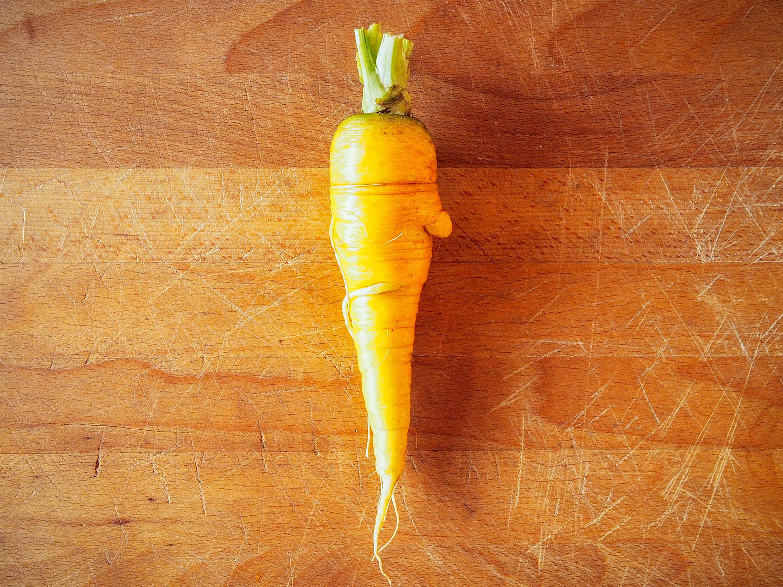 A yellow carrot on a wooden cutting board with a small bump on its skin