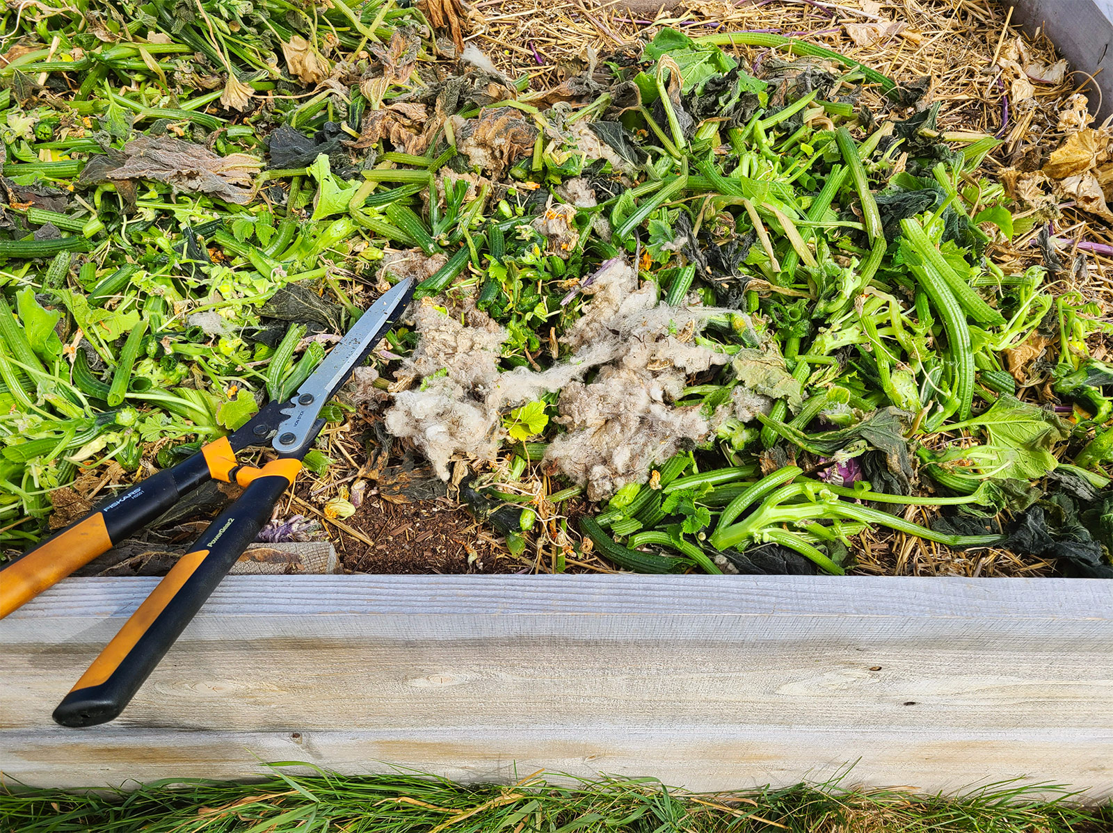 A raised bed filled with cut-up squash vines and other plant debris, leftover straw mulch, and old sheepwool mulch with a pair of hedge clippers laid on top