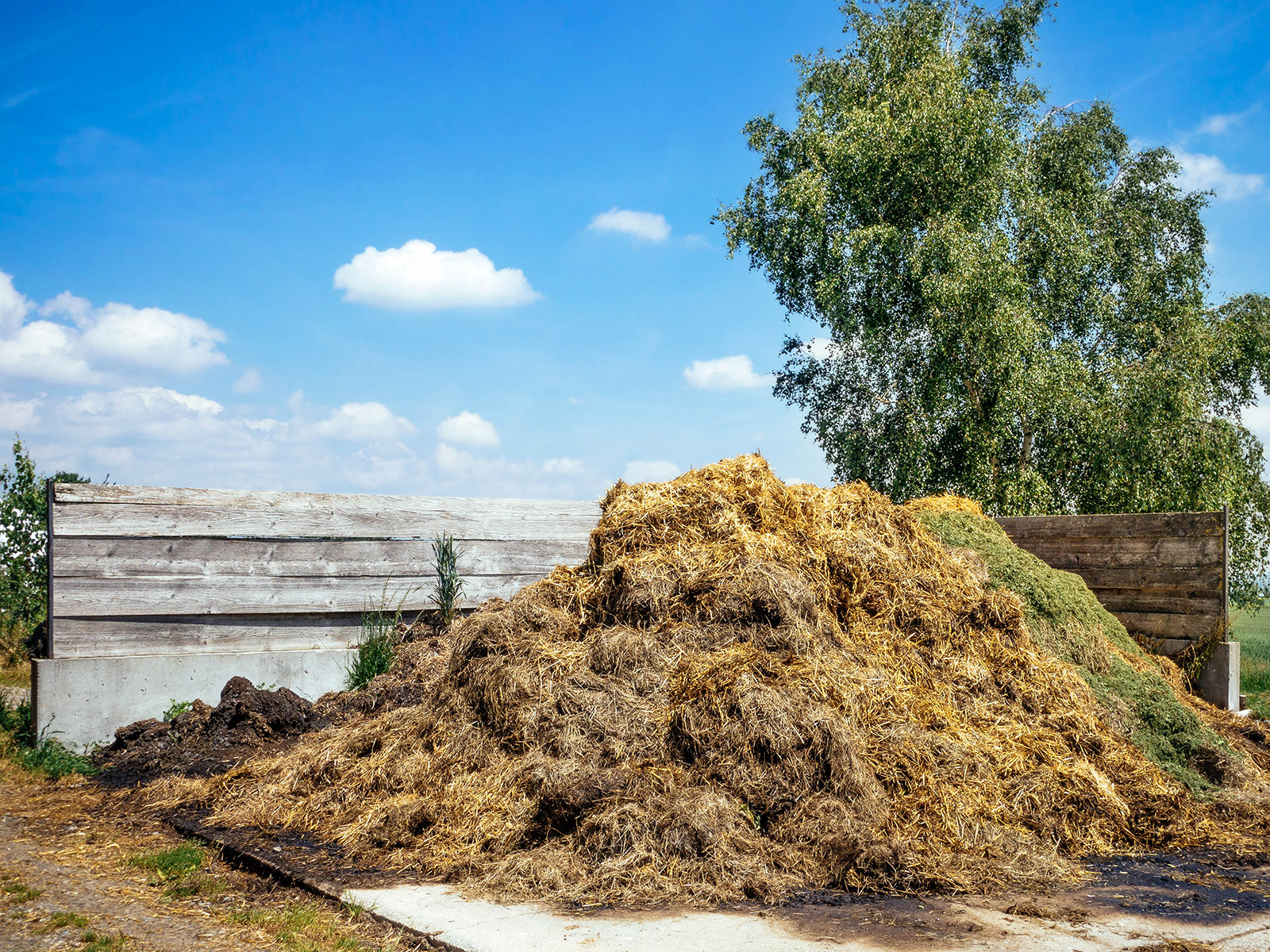 A mound of cow dung mixed with hay, piled into the corner of a rustic wooden barrier in a grassy farm field