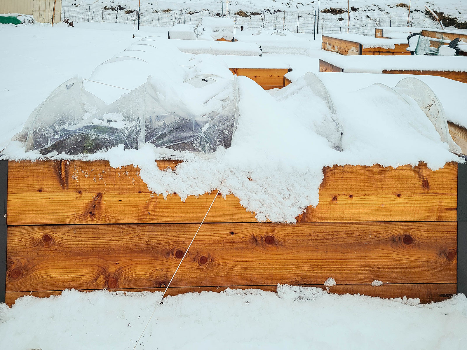 A plastic low tunnel covering a tall raised bed with fresh snowfall around it