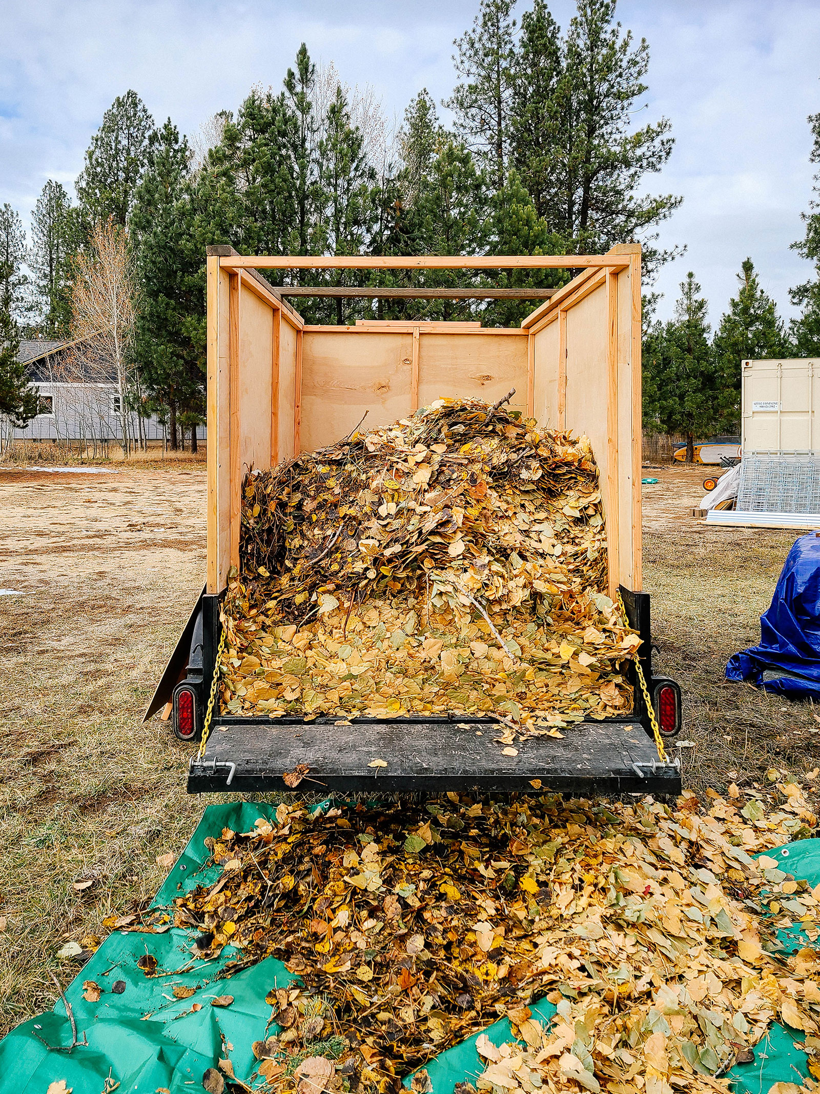 A large trailer parked in a yard with the tailgate open to reveal a huge load of fall leaves spilling out onto a green tarp on the ground