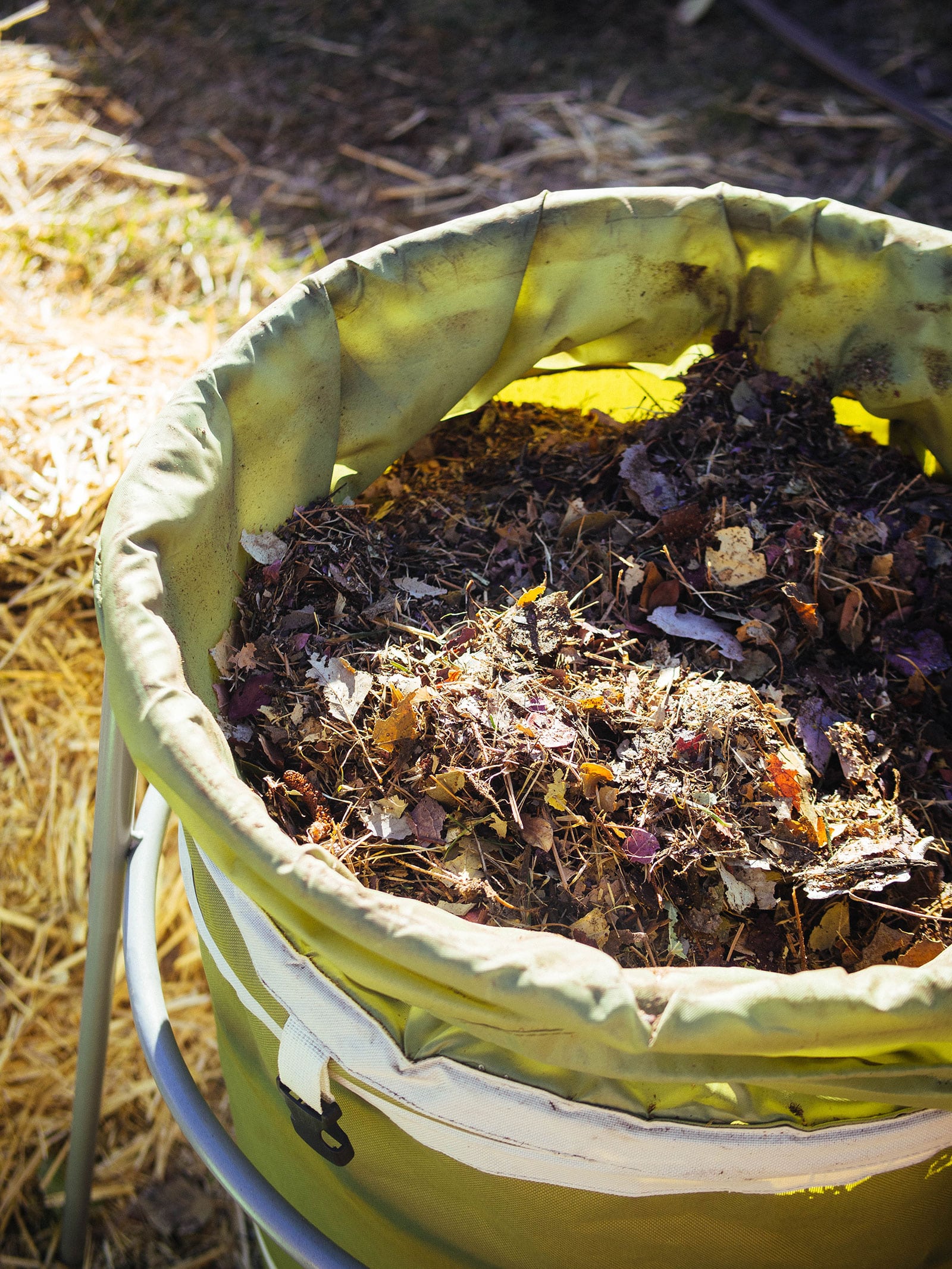 A green leaf waste bin in a yard filled with shredded fall leaves