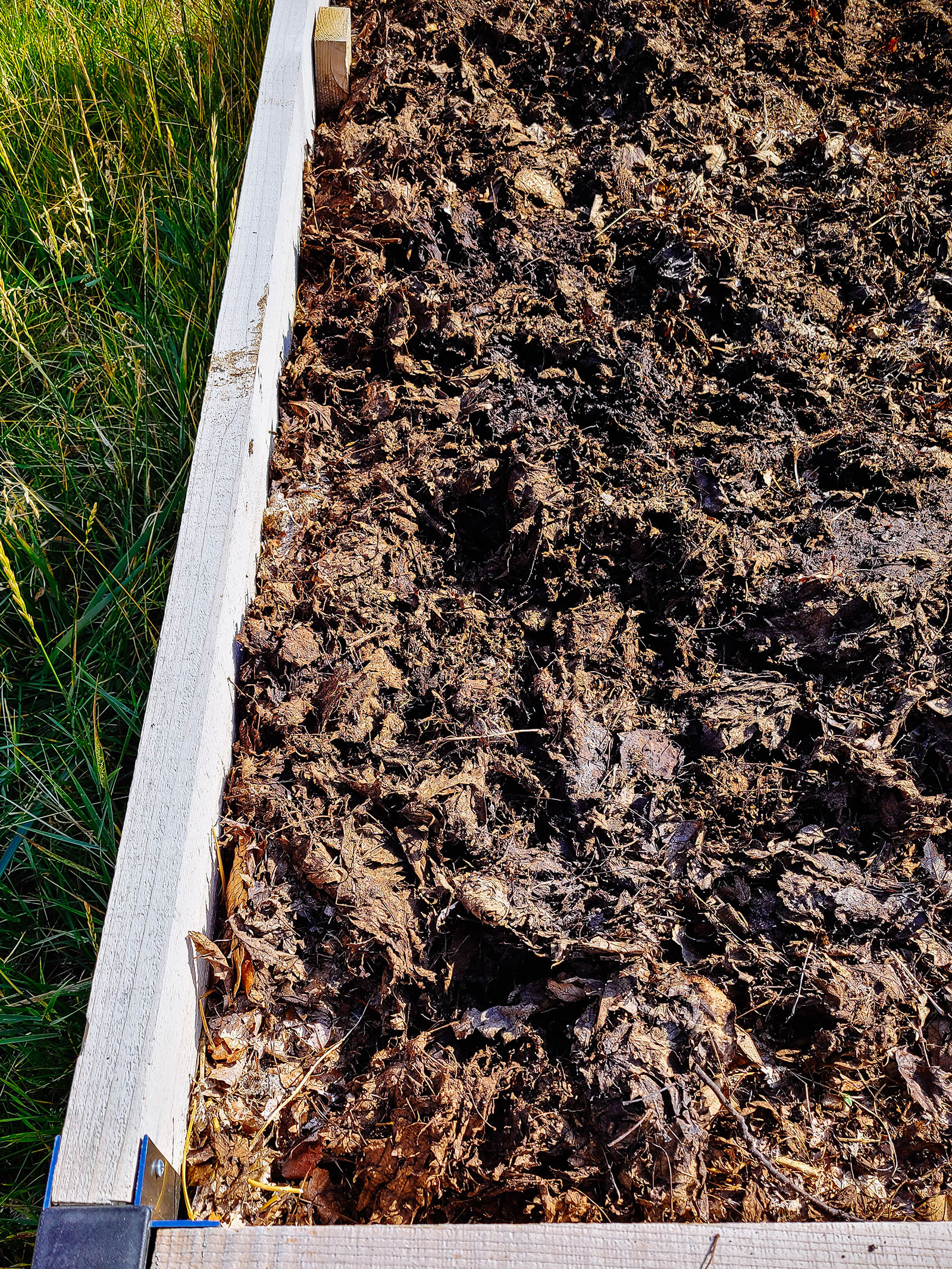 A raised bed with partially decomposed leaves sitting on top