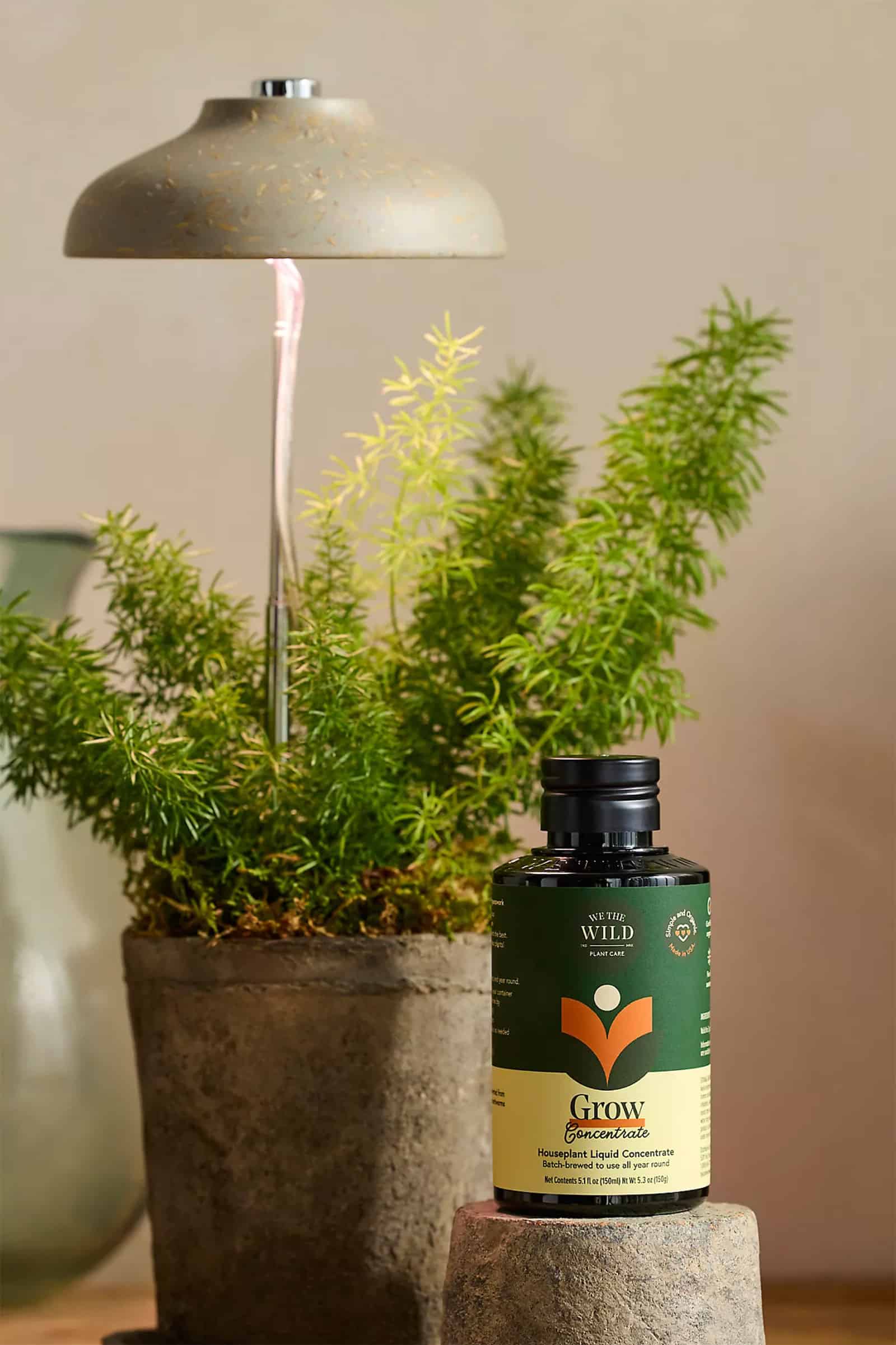 Houseplant grow lamp and plant food