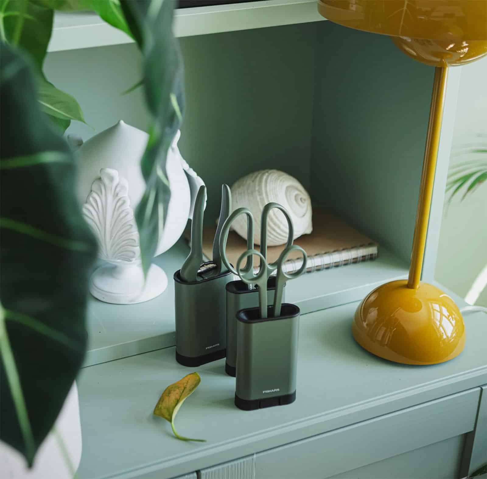 Indoor plant cutting set