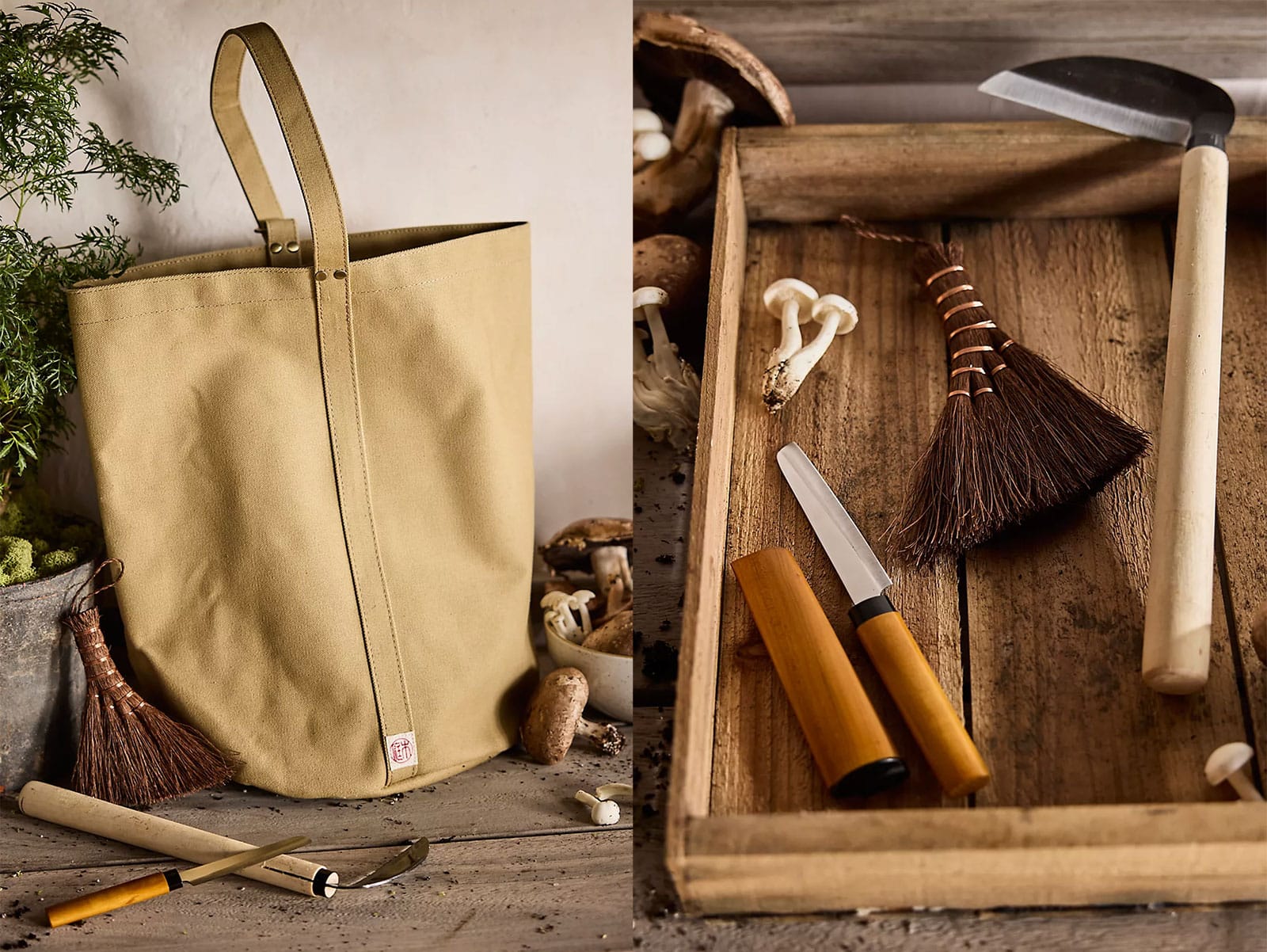 Niwaki mushroom hunting set