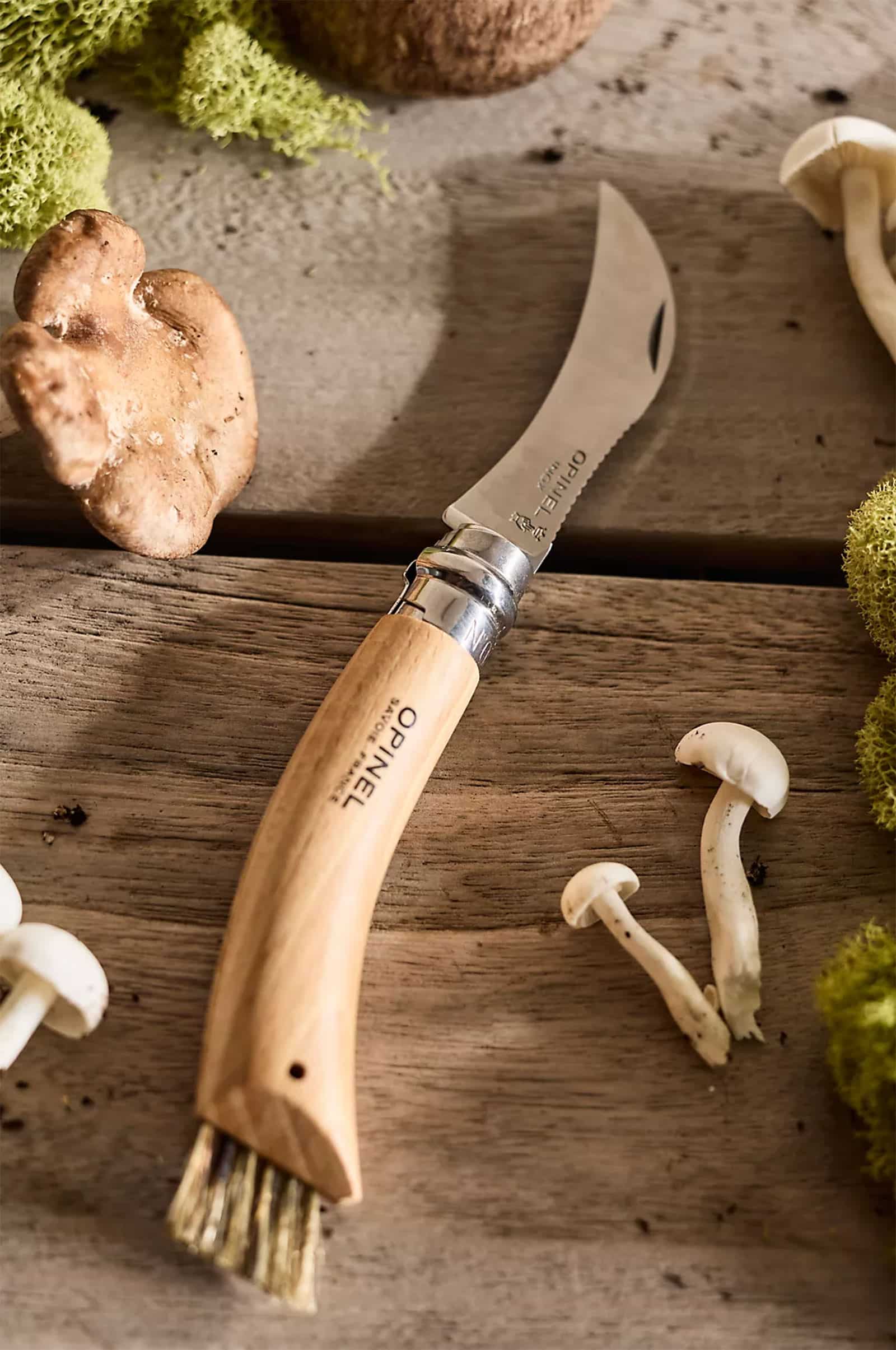 Opinel mushroom knife