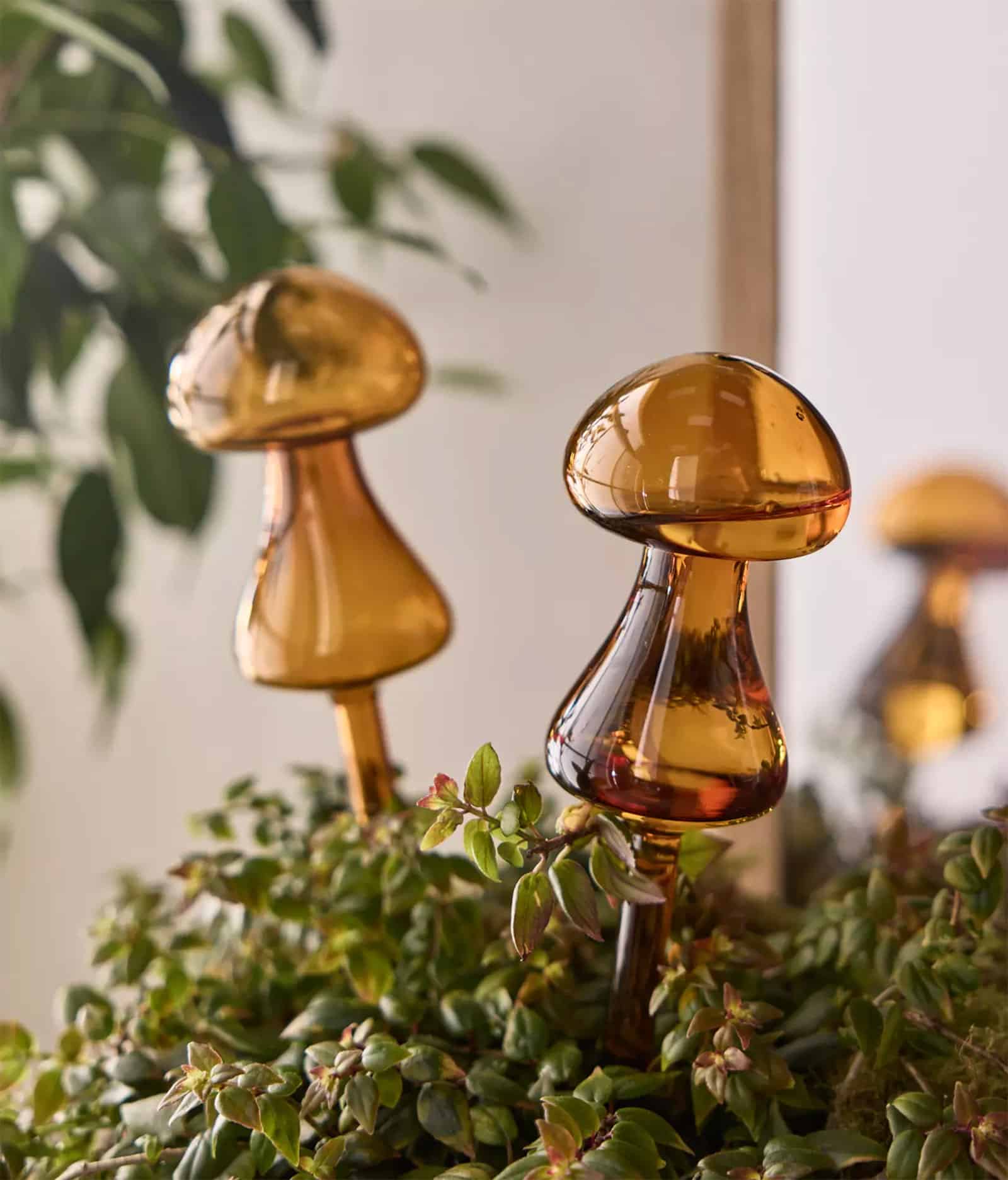 Mushroom watering globes