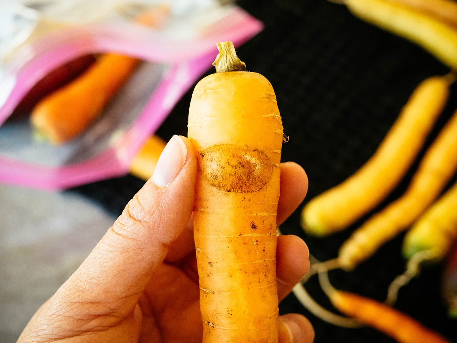 Hand holding an orange carrot with some damage on the surface