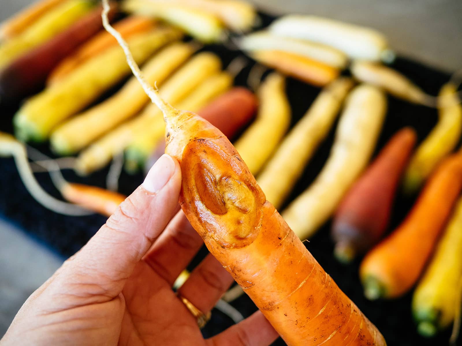 Hand holding an orange carrot with a large crack or split near the bottom