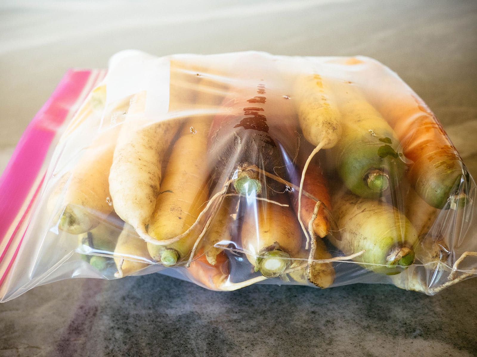 Side view of a gallon-size zip-top bag filled with colorful carrots and placed on a stone counter