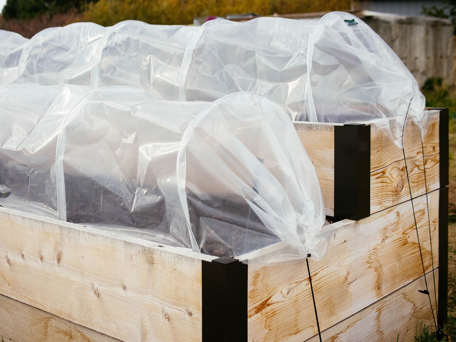 A two-tier raised bed covered with plastic low tunnels