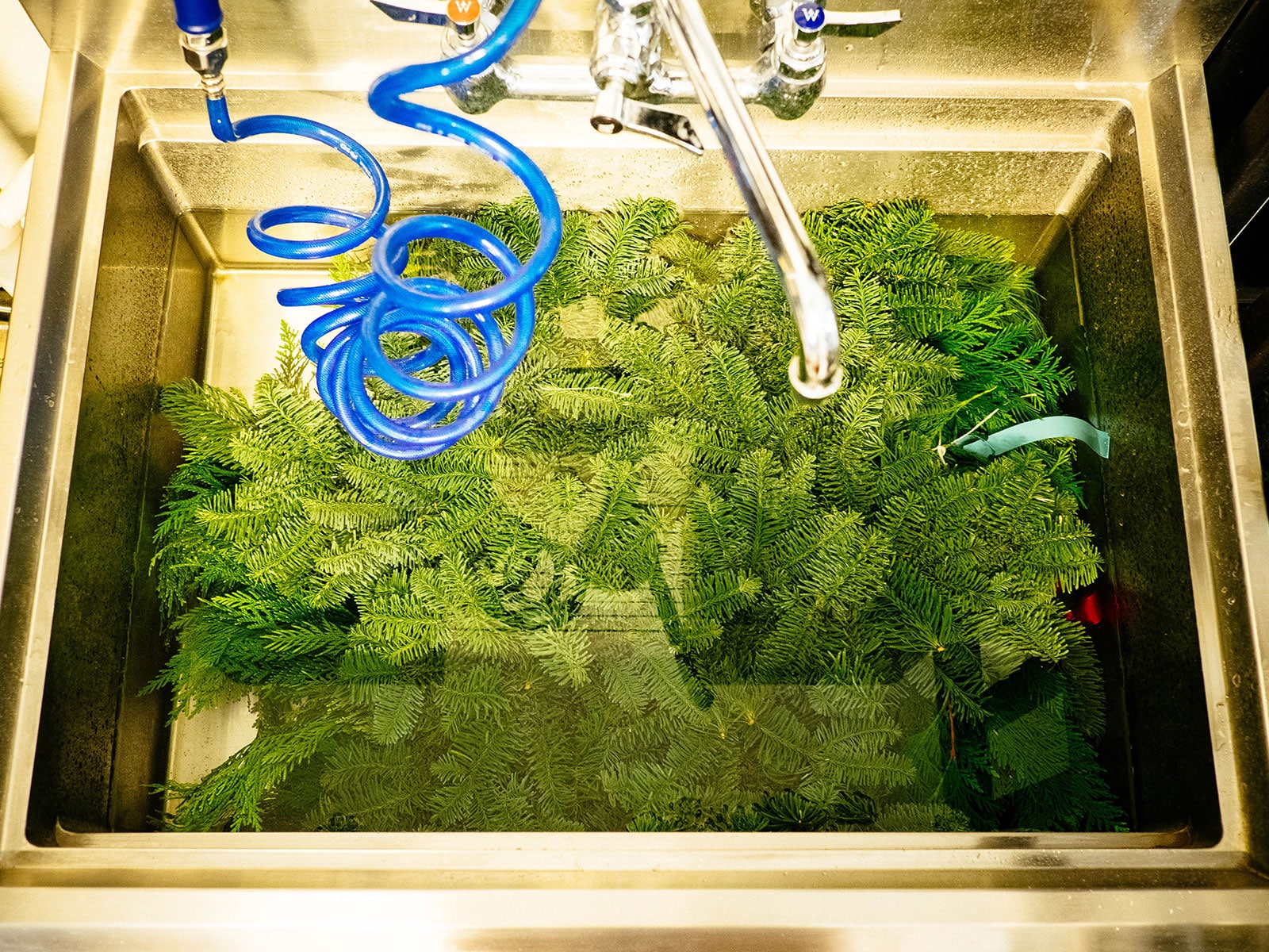 Wreaths soaking in water in a stainless steel utility sink