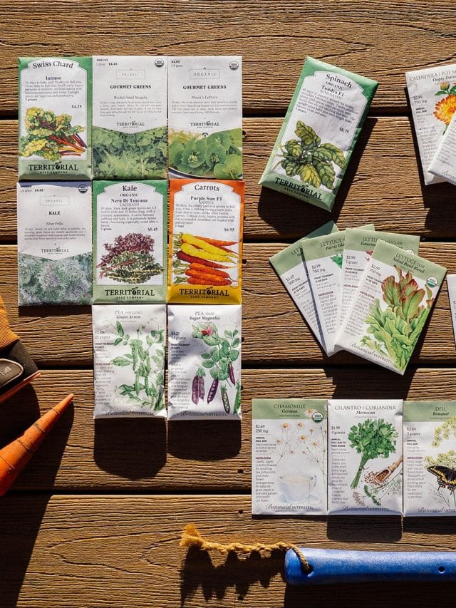 A flat lay view of multiple seed packets arranged on a brown deck with a pair of garden gloves, a plant dibber, and a Cobrahead cultivating tool