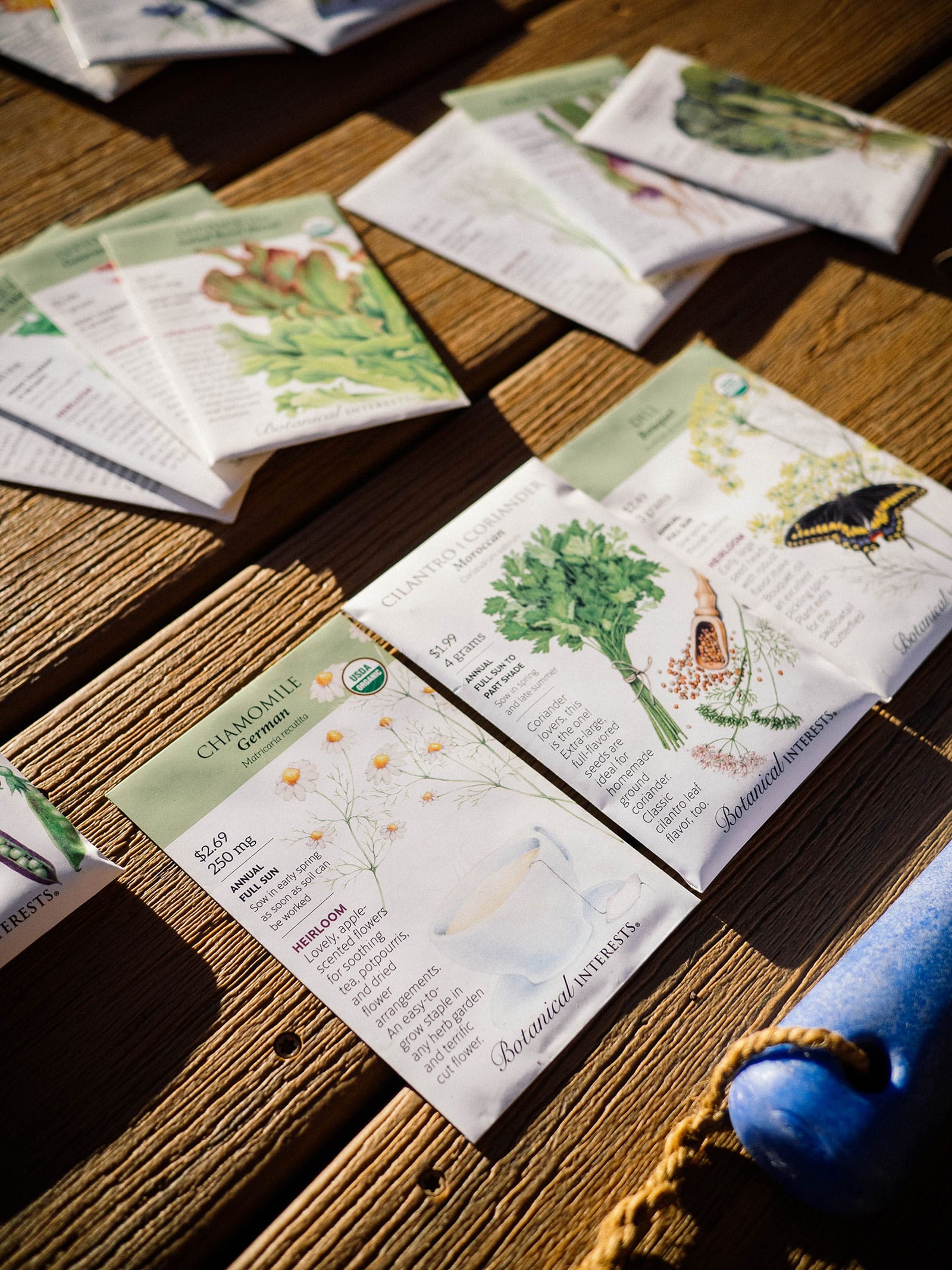 Closeup of Botanical Interests seed packets for various herbs such as chamomile, cilantro, and dill with more seed packets in the background