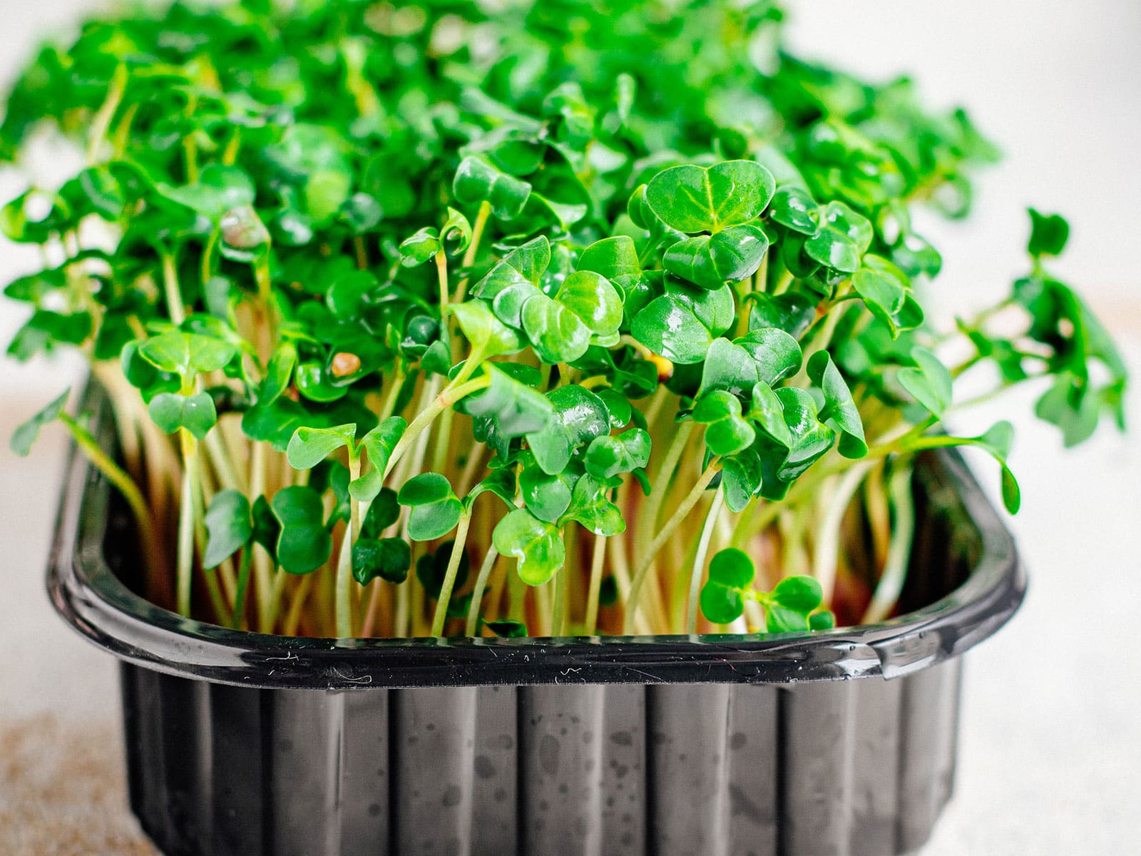 A black plastic grow tray filled with microgreens