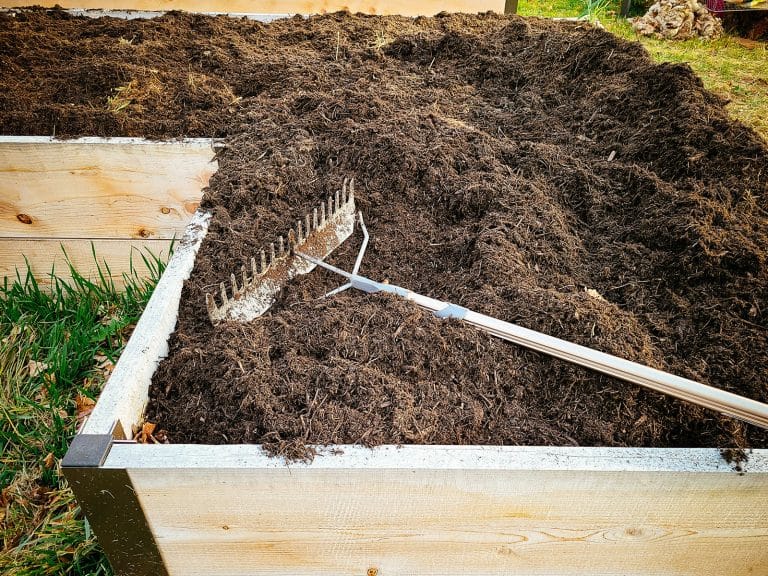 A raised bed newly filled with soil with a rake resting on top