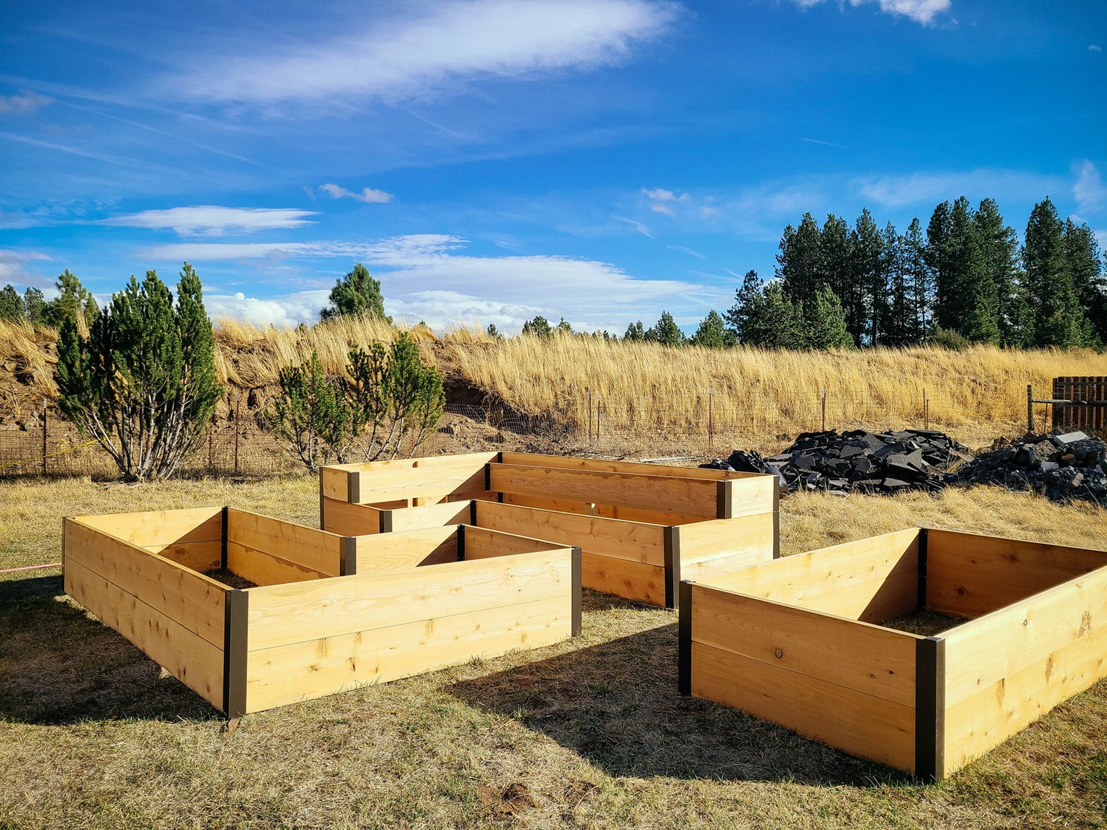 Three empty raised beds in a garden of various sizes, shapes, and depths