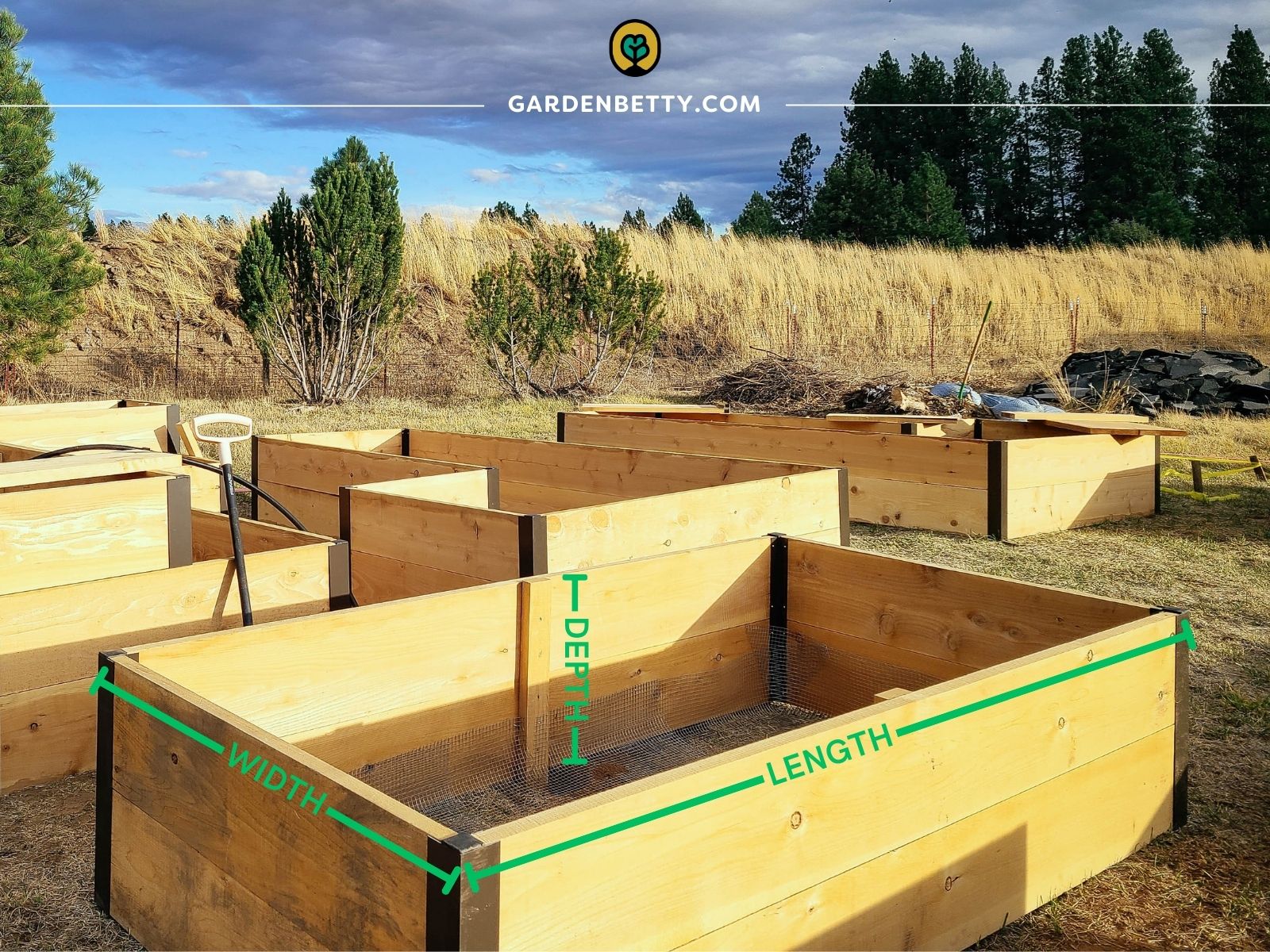 Empty raised beds in a garden with one bed overlaid with a simple illustration showing how to measure its length, width, and depth