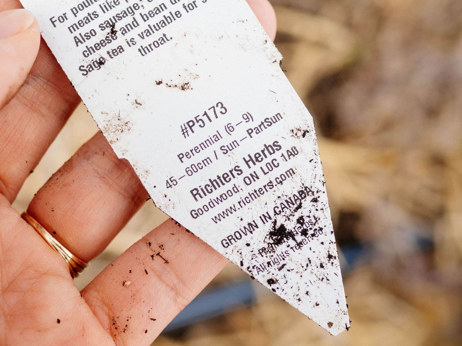 Close-up of a hand holding a plant tag from a plant grown in Canada