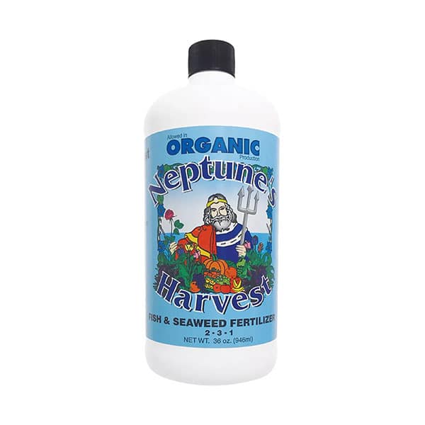 Neptune's Harvest organic fish and seaweed fertilizer