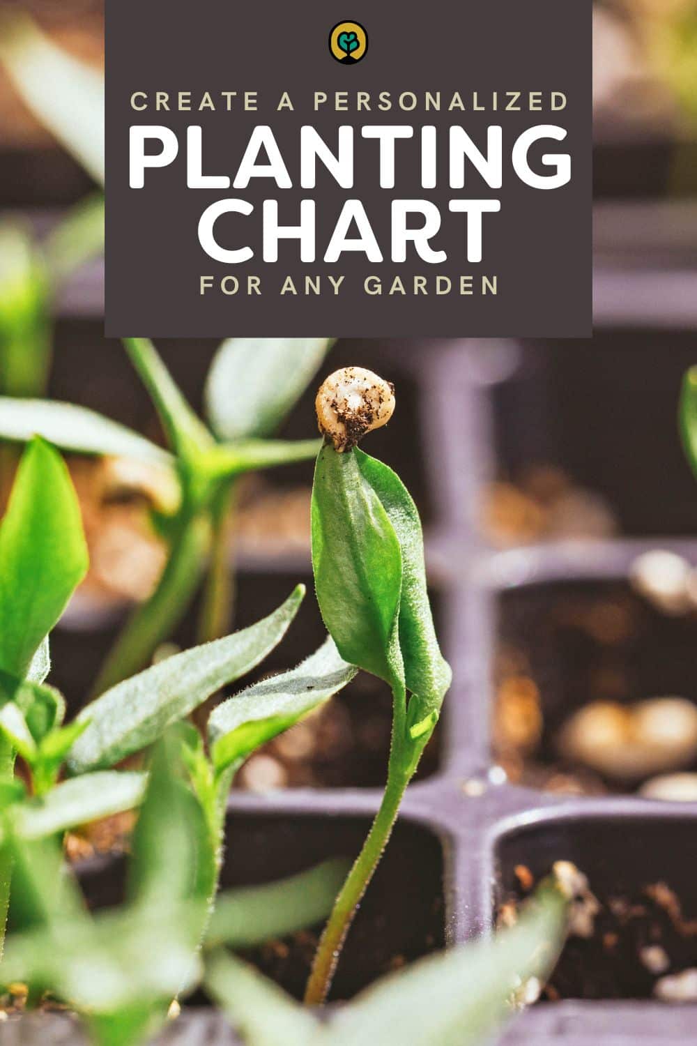 Pinterest pin image for a personalized planting chart