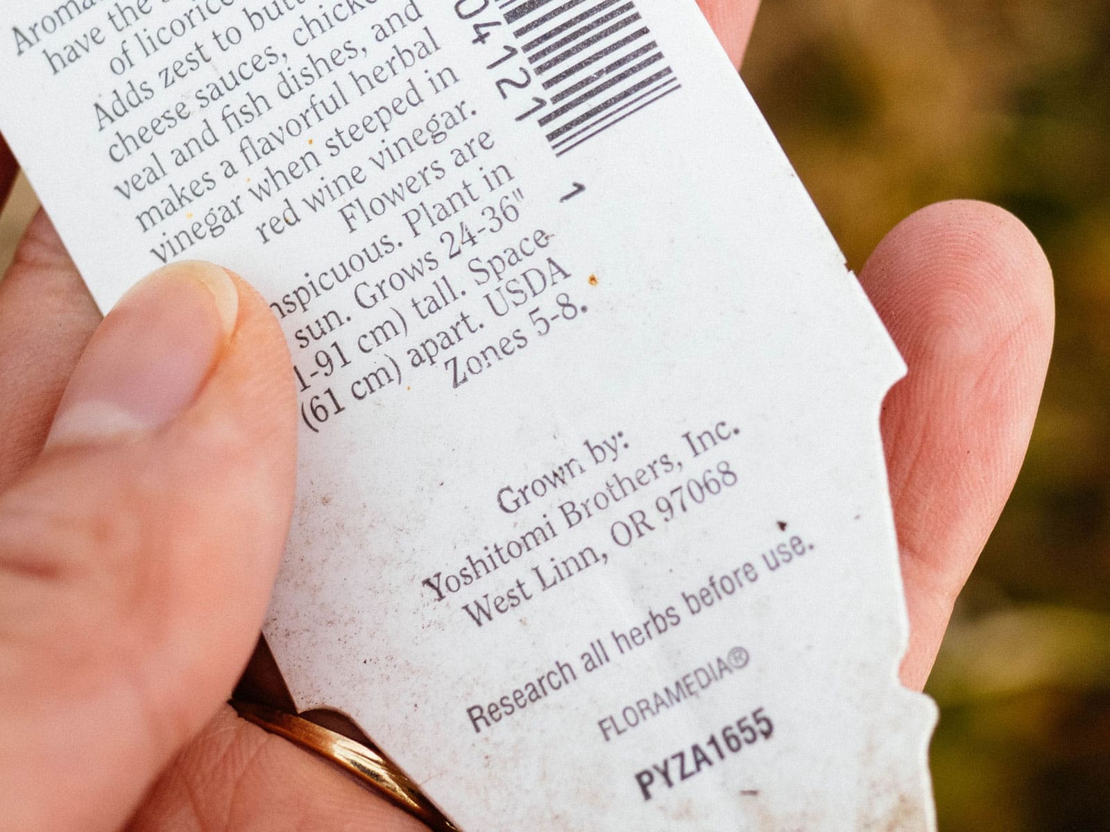 Close-up of hand holding a white plant tag with USDA zone information for a perennial plant