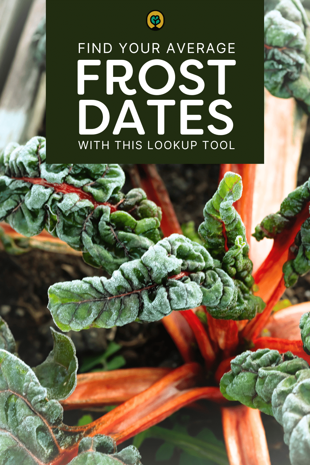 Pinterest pin image for frost date lookup tool