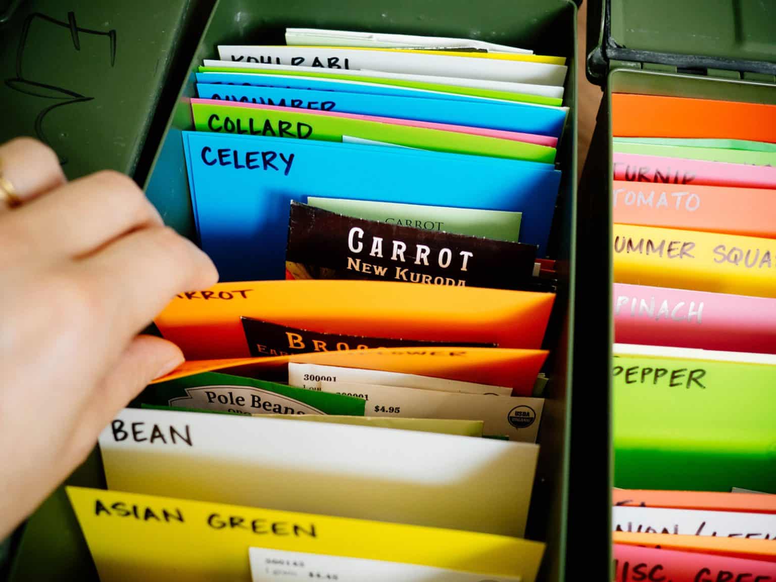 My Game-Changing Seed Inventory and Organization System - Garden Betty