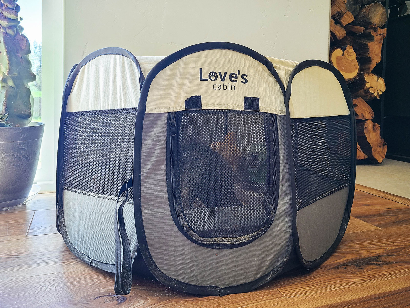 A portable puppy playpen used as a chick brooder inside a home