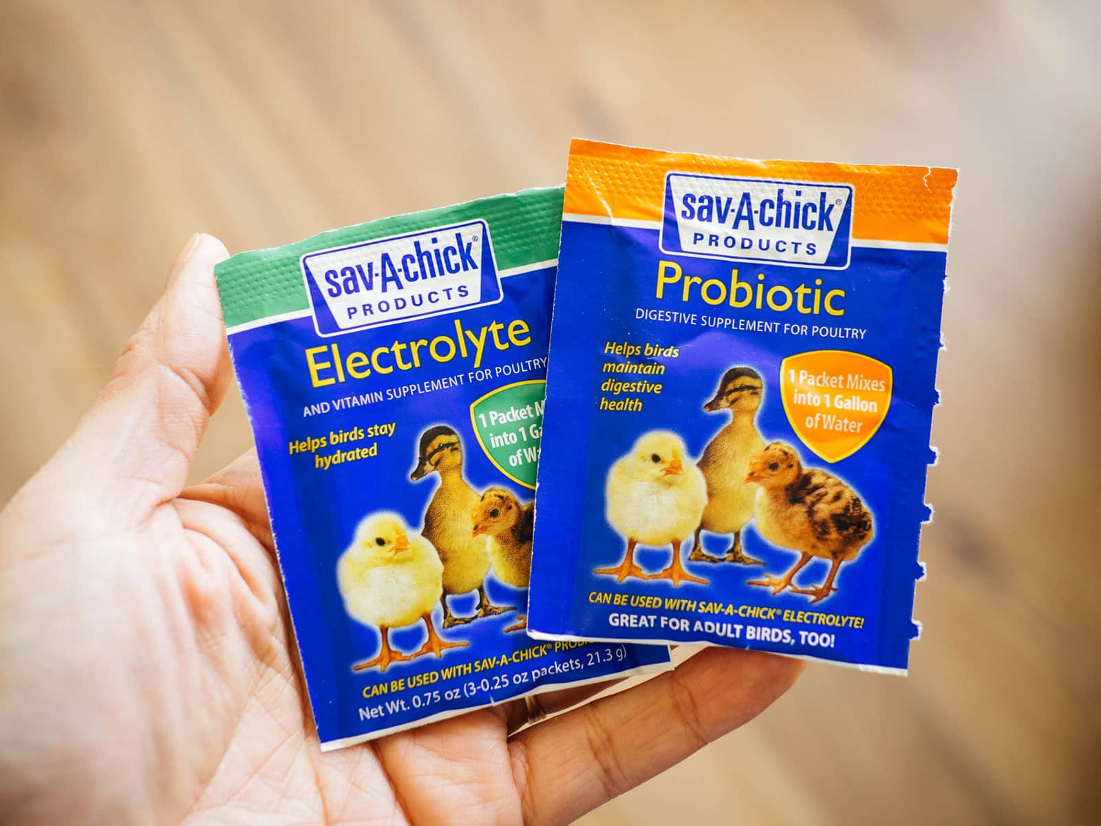 Woman's hand holding packets of powdered probiotics and electrolytes for poultry