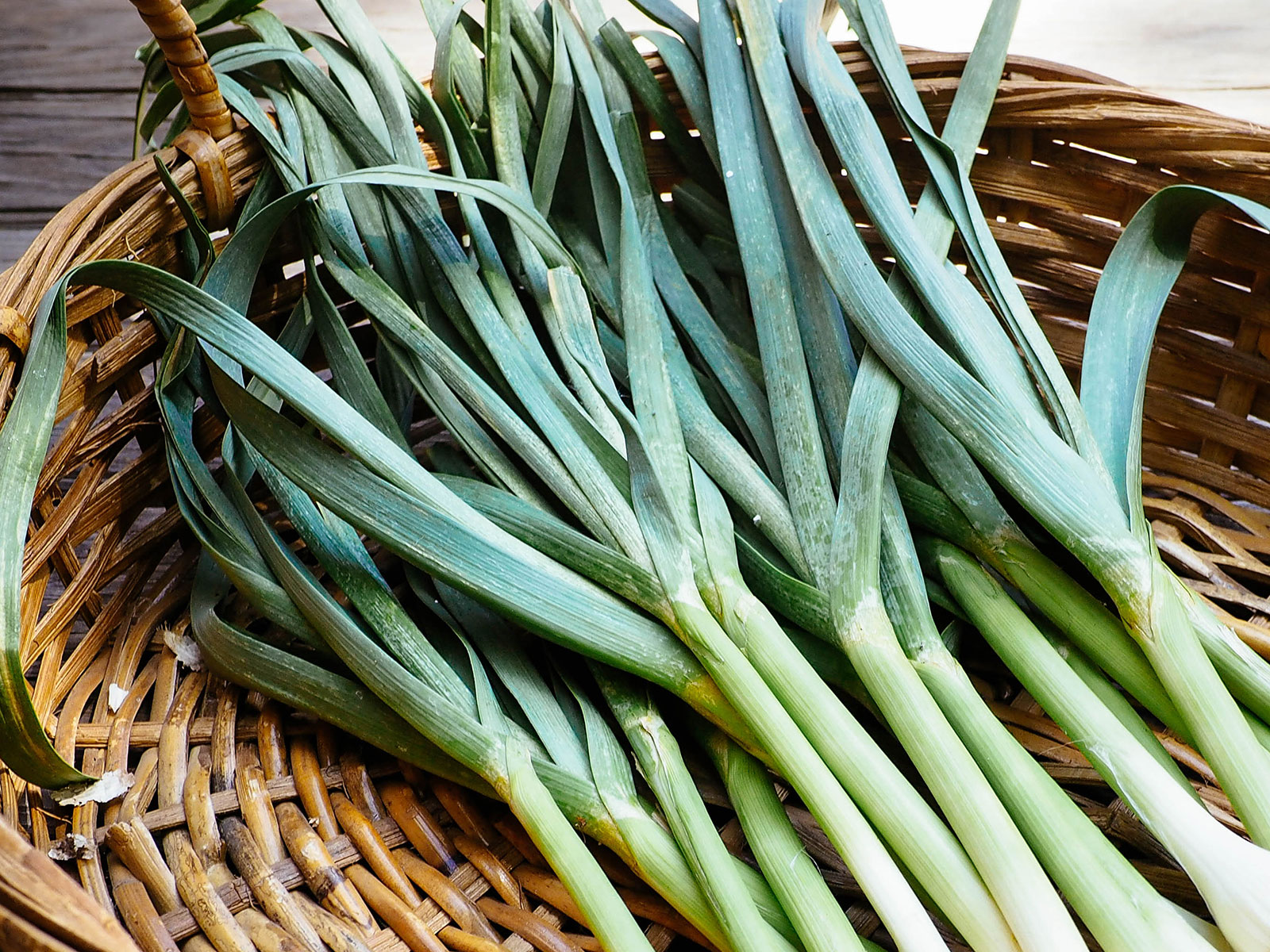 Green garlic (baby garlic) piled together in a wicker basket