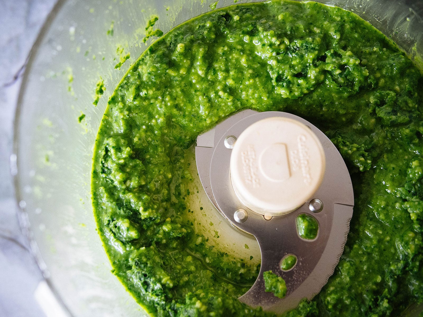 Tomato leaf pistou just blended in a good processor
