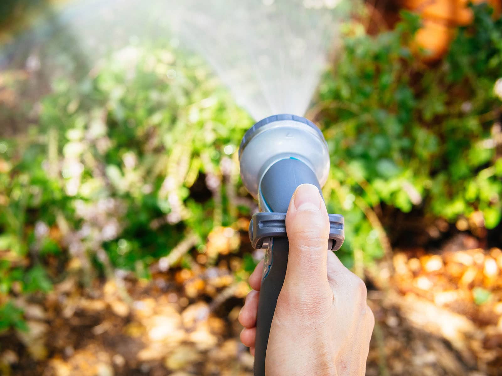 A hand holding a gray garden hose nozzle and spraying plants in a garden