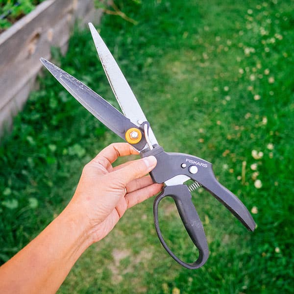 Fiskars grass shears